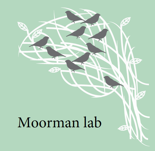 moormanlablogo
